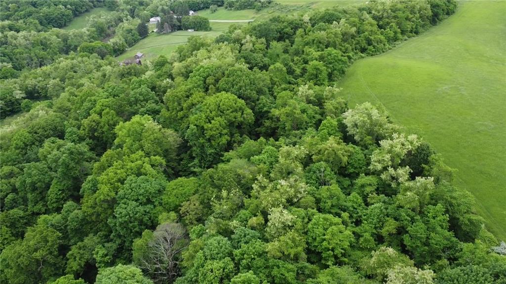 9999 Mckee Road McKeesport, PA 15131 - Photo 7 of 16 an aerial view of residential house with outdoor space and trees all around