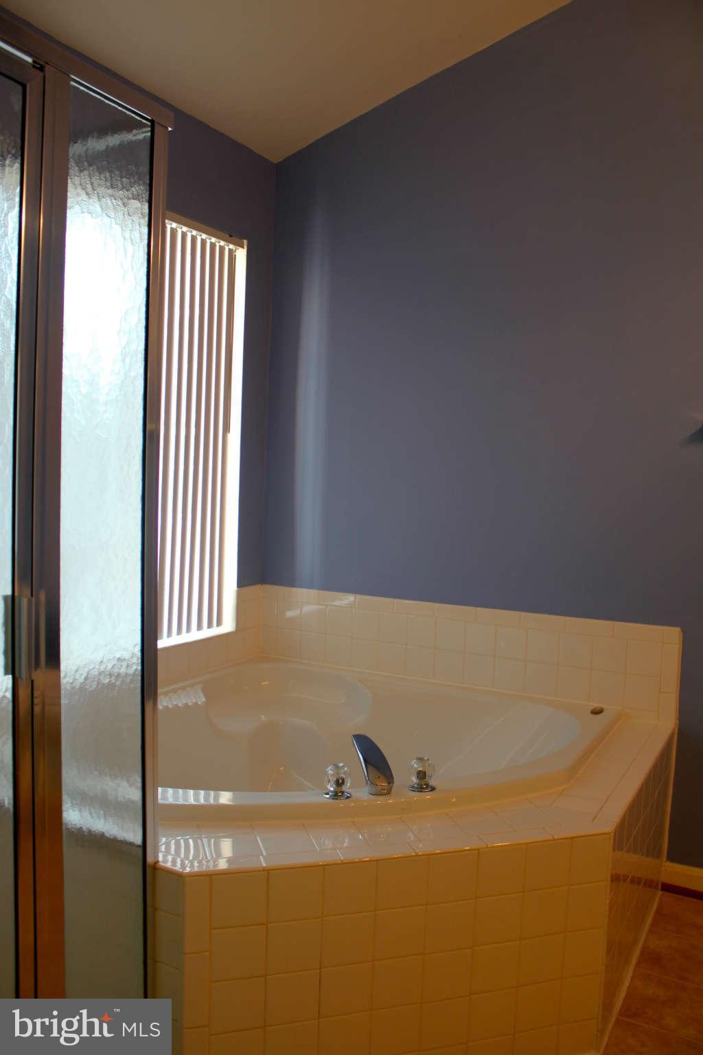 9056 Two Bays Road Lorton, VA 22079 - Photo 9 of 16 Master Bath