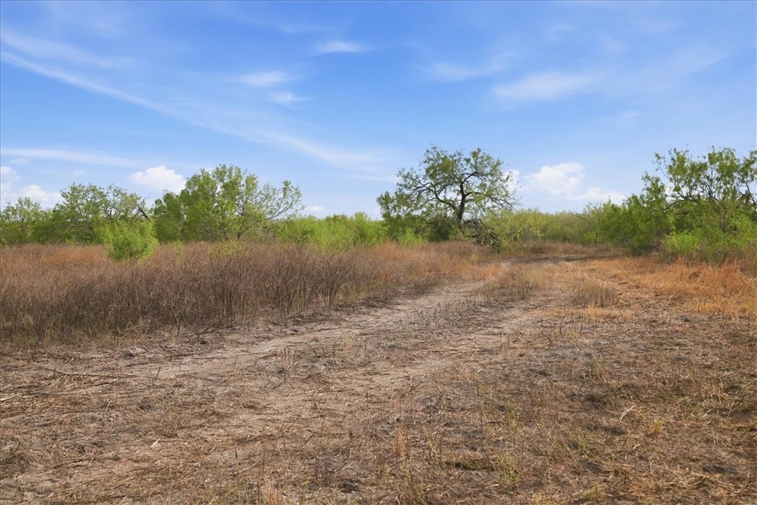 1991 South Highway 37 Three Rivers, TX 78071 - Photo 14 of 60 Gallery Image 14