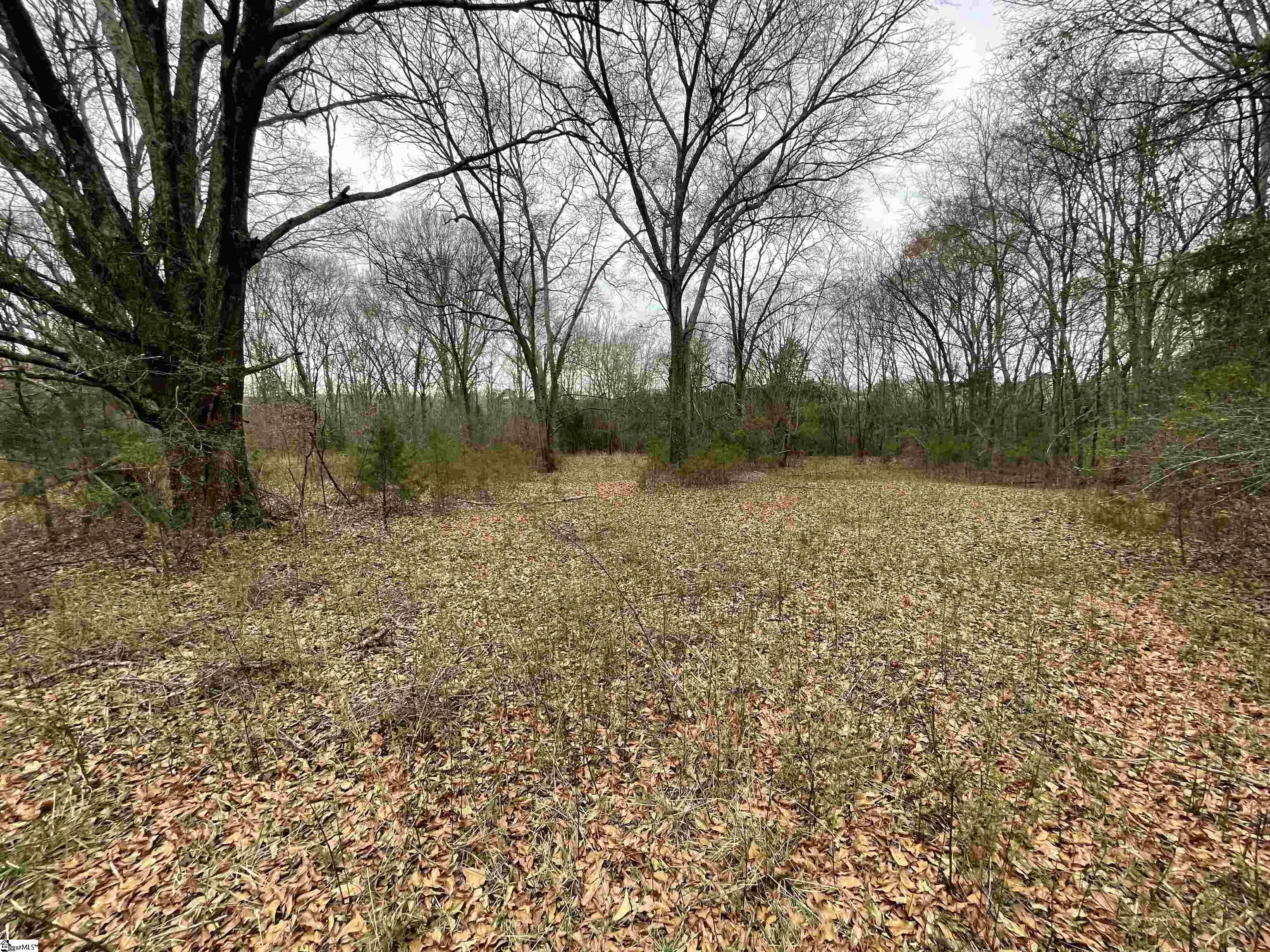 706 Martins Lake Road Gray Court, SC 29645 - Photo 1 of 16 Gallery Image 1