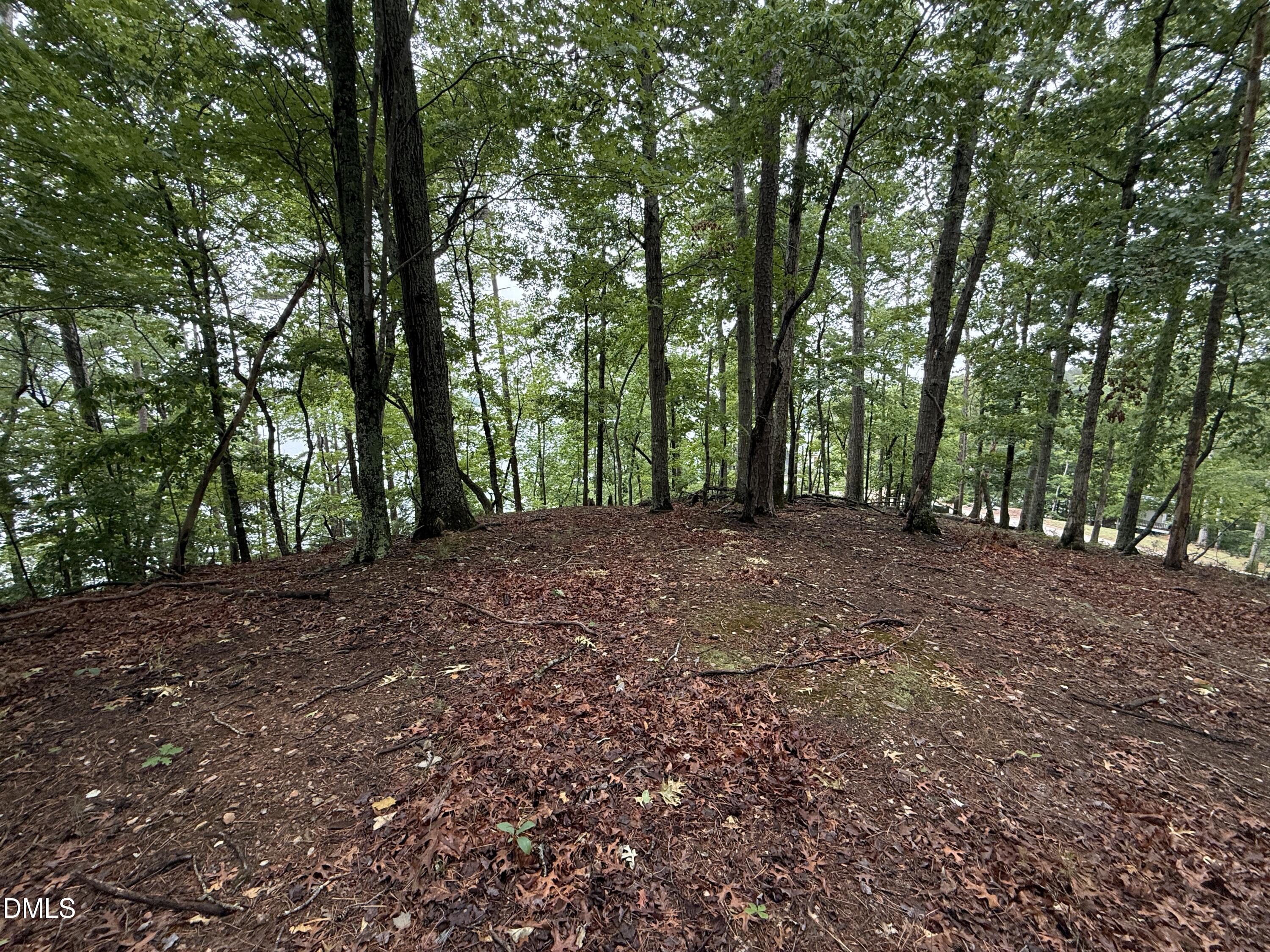 0 Edwards Ridge Road Littleton, NC 27850 - Photo 17 of 24