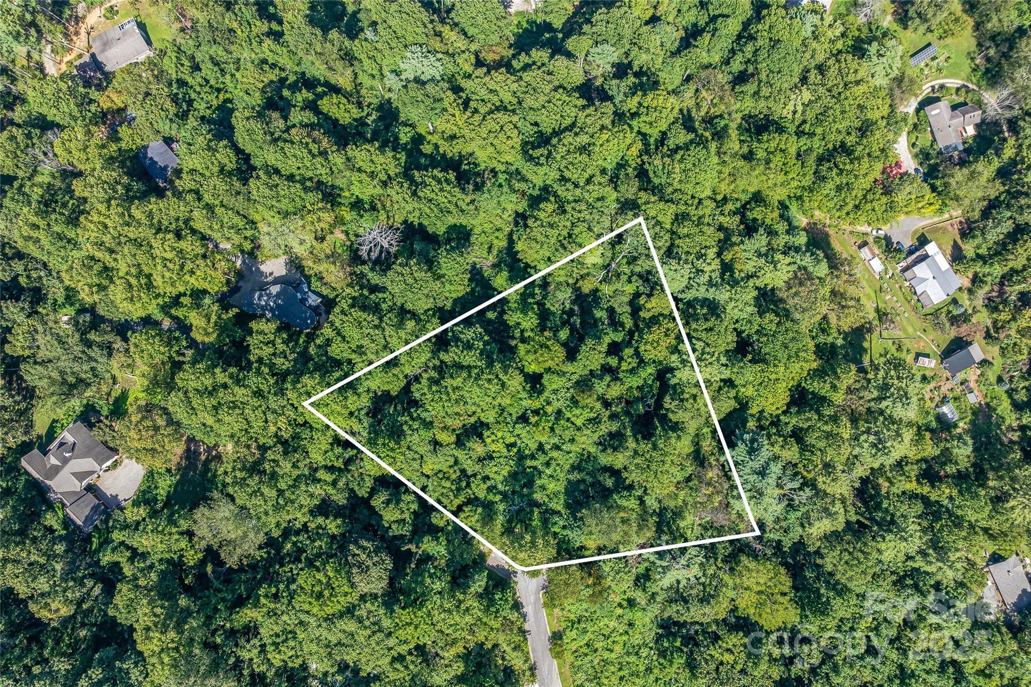 33 Grovepoint Way Asheville, NC 28804 - Photo 17 of 32 a view of a yard with plants