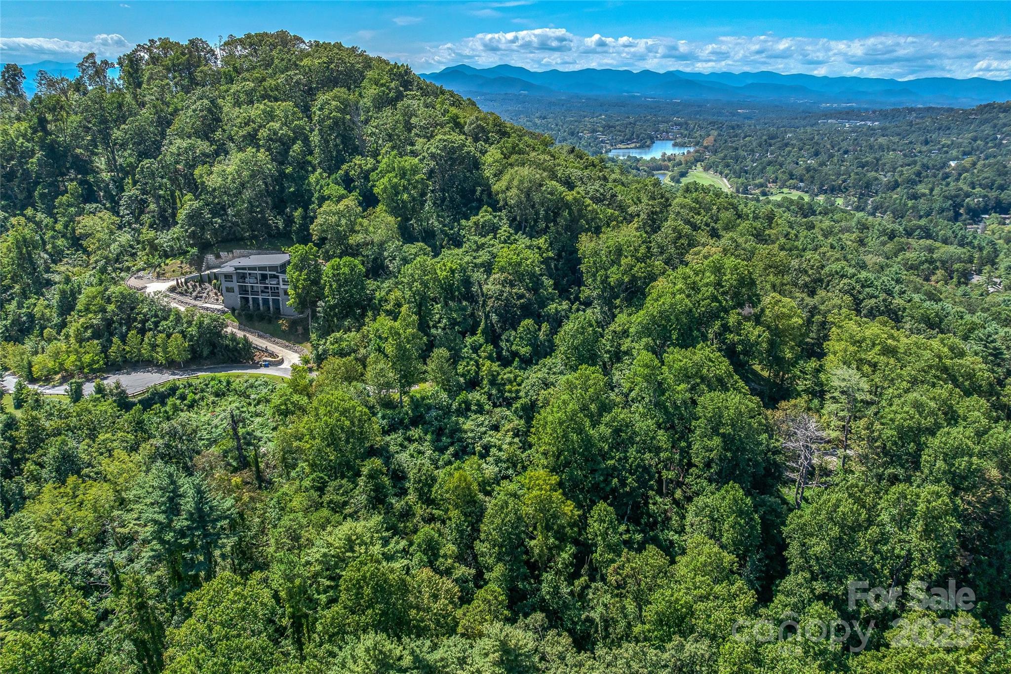 33 Grovepoint Way Asheville, NC 28804 - Photo 18 of 32 a view of a lush green forest