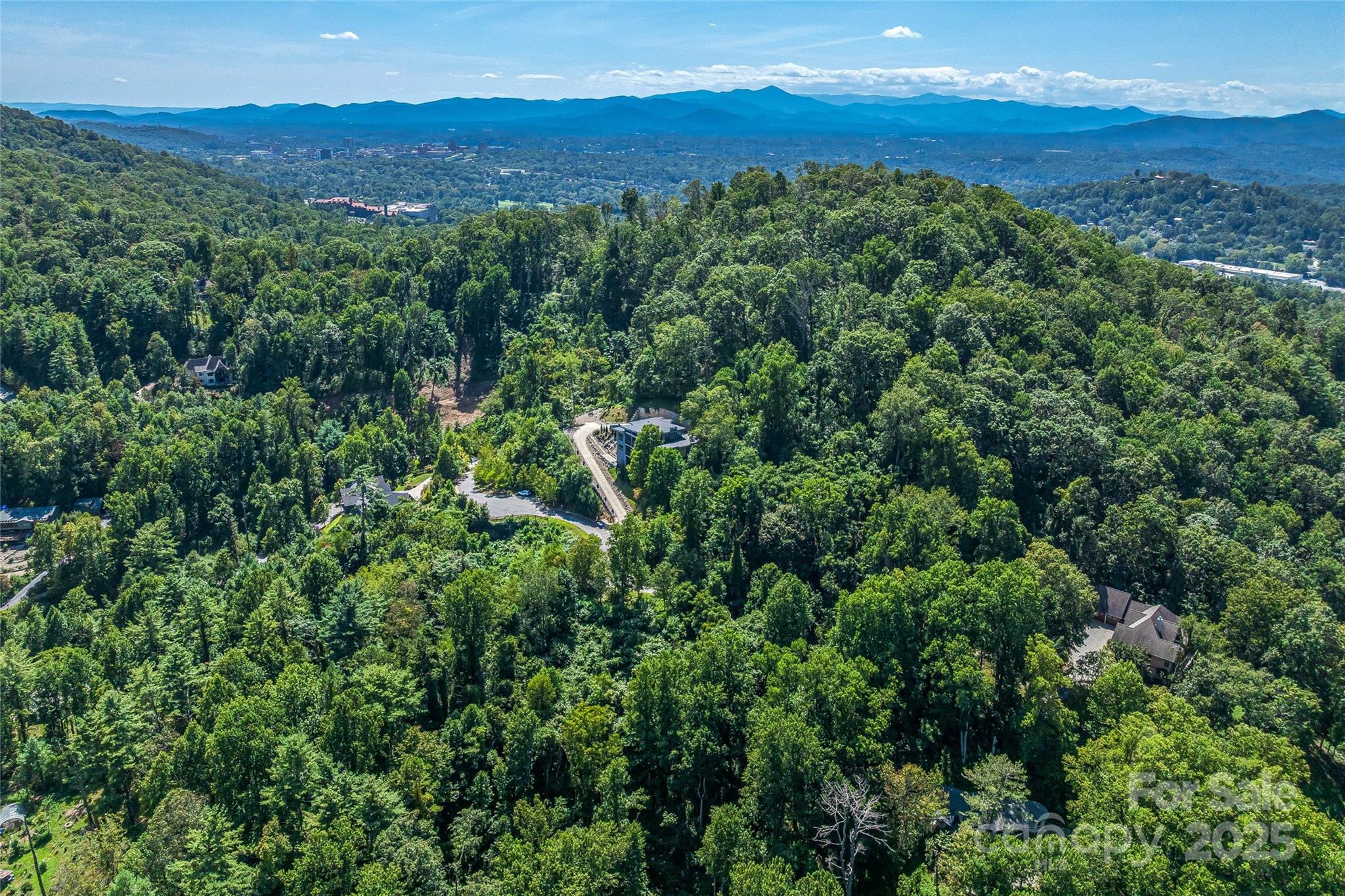 33 Grovepoint Way Asheville, NC 28804 - Photo 19 of 32 a view of a forest with a lush green forest