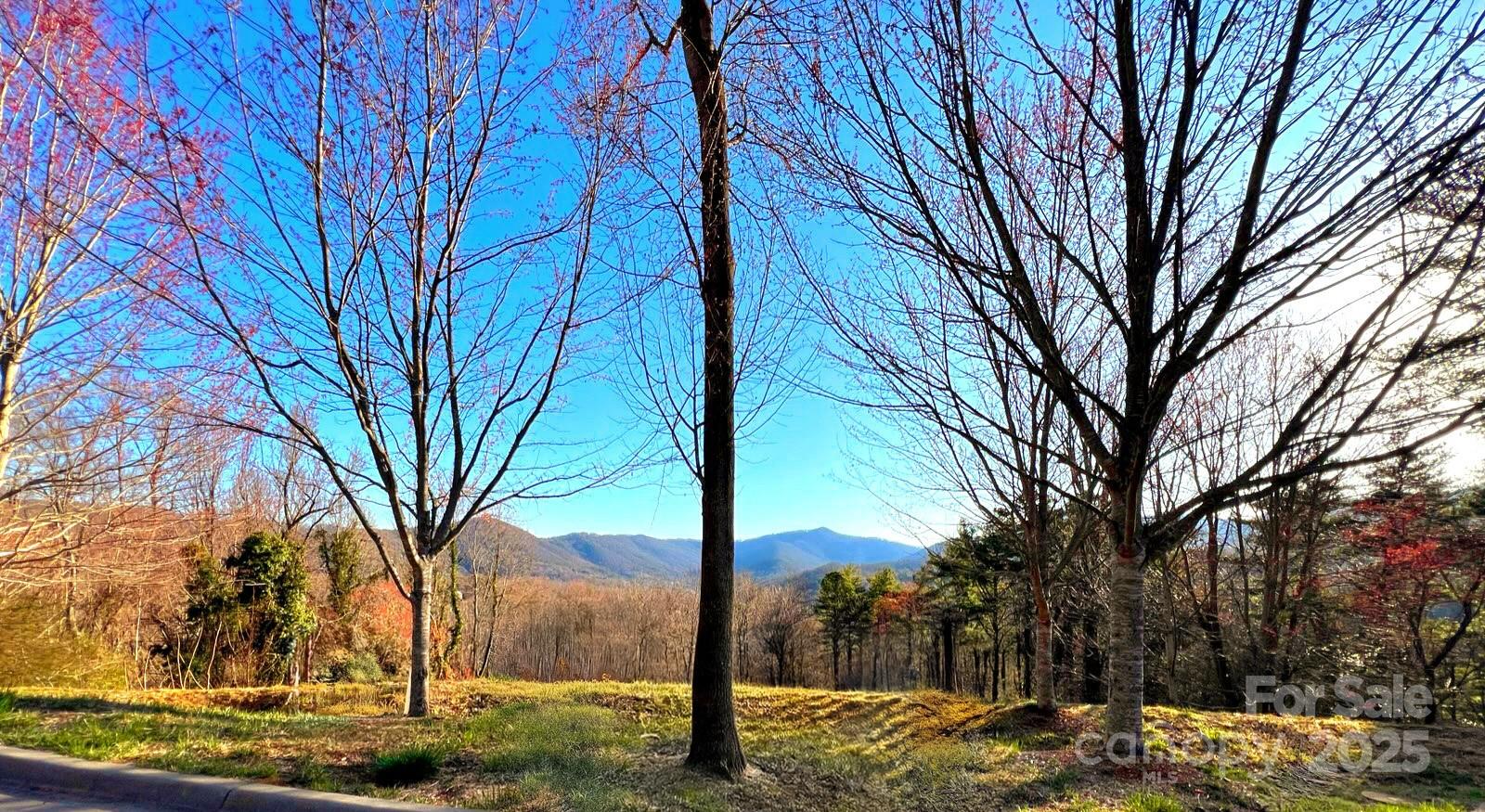 33 Grovepoint Way Asheville, NC 28804 - Photo 2 of 32 a view of a yard with a tree