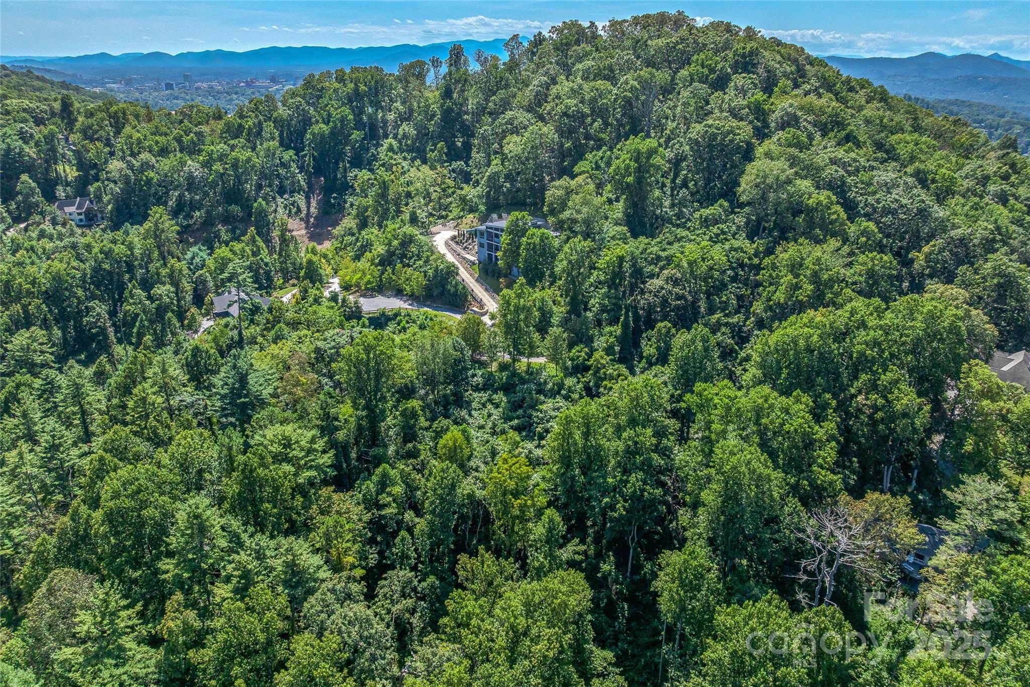 33 Grovepoint Way Asheville, NC 28804 - Photo 25 of 32 an aerial view of a forest with lush green forest