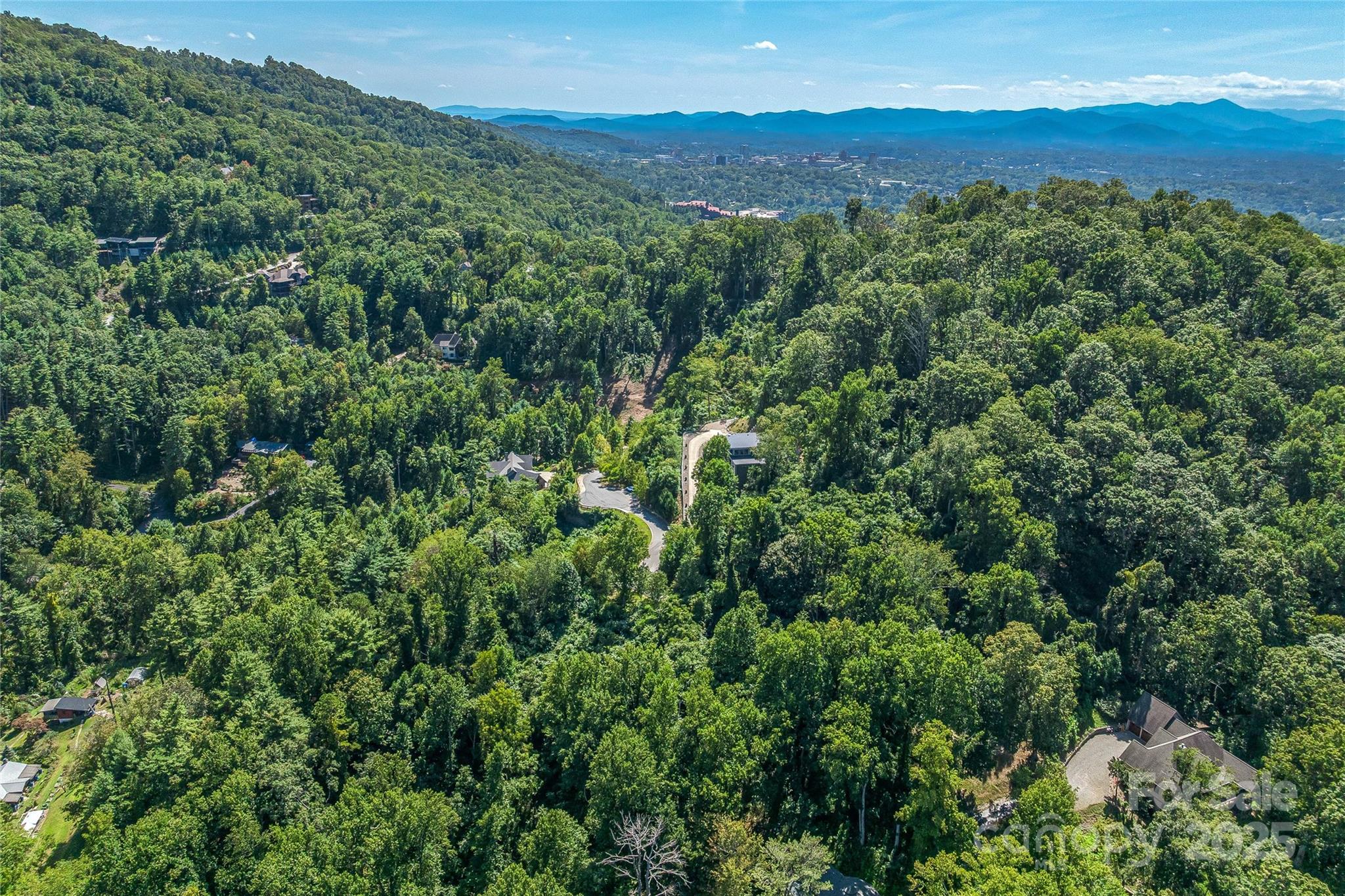 33 Grovepoint Way Asheville, NC 28804 - Photo 26 of 32 a view of a lush green forest with trees and houses