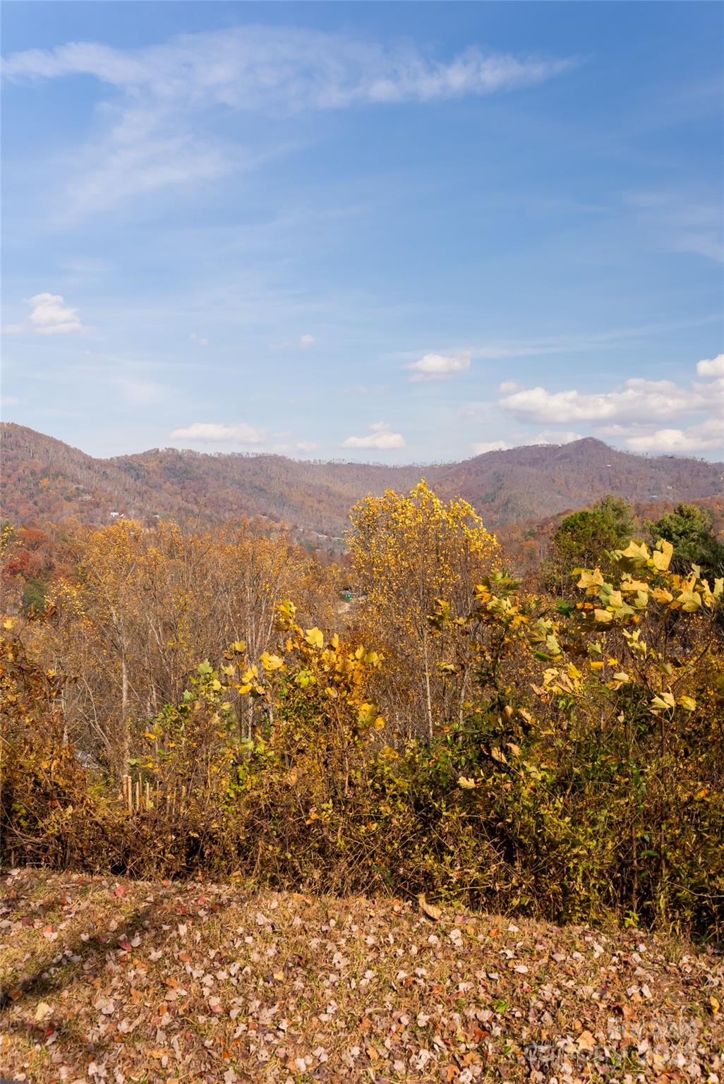 33 Grovepoint Way Asheville, NC 28804 - Photo 27 of 32 view of city and mountain
