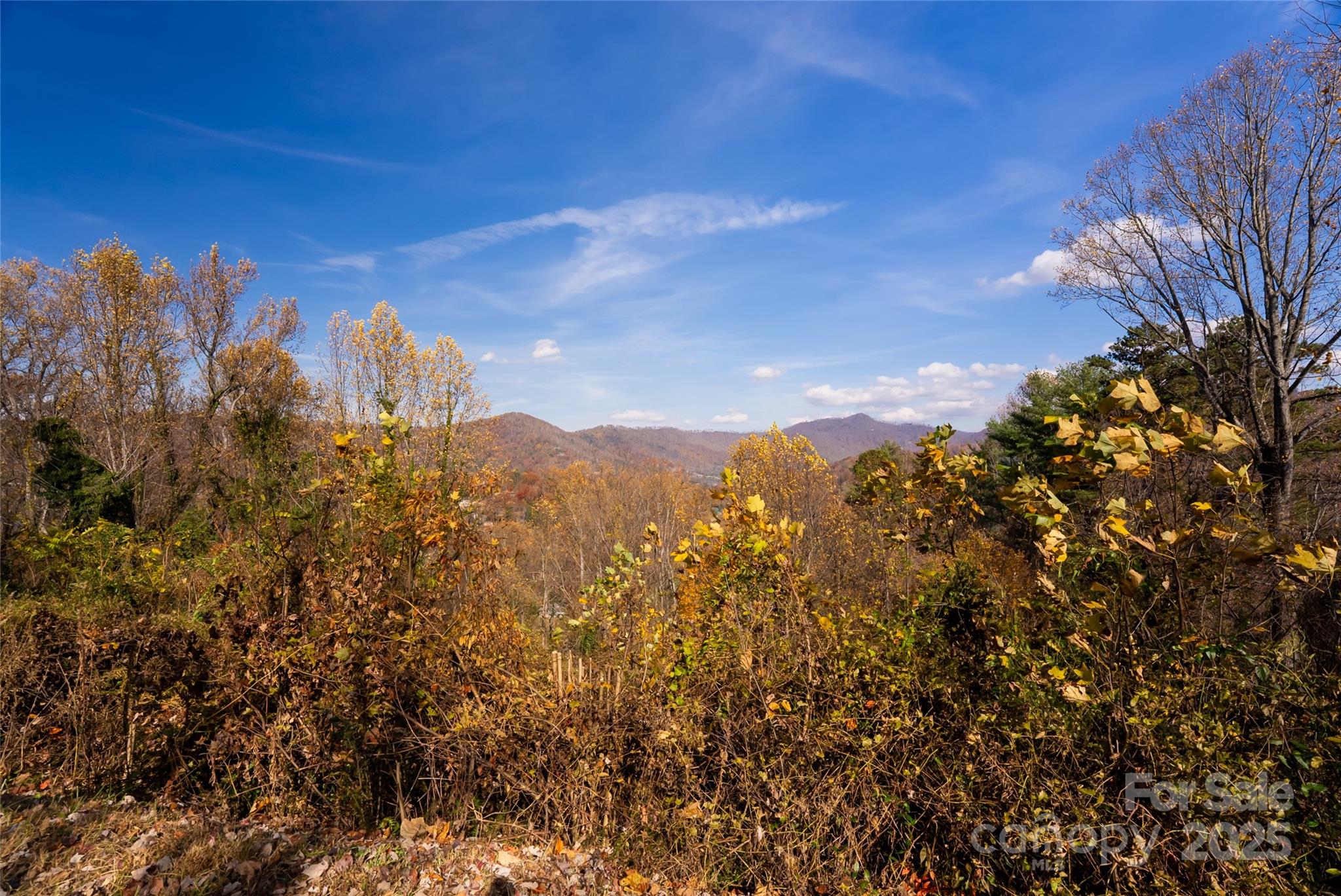 33 Grovepoint Way Asheville, NC 28804 - Photo 28 of 32