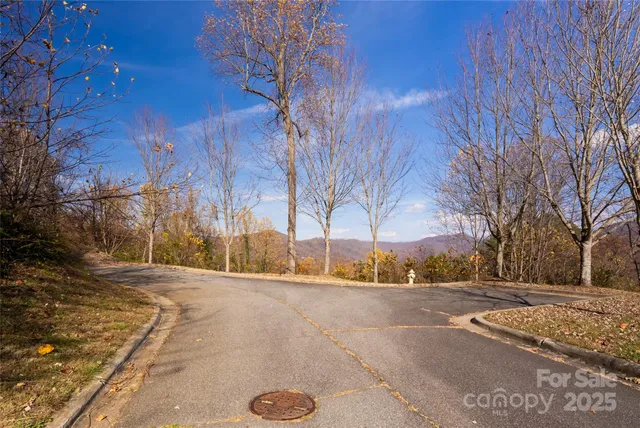 a view of a lush green field with mountains in the background