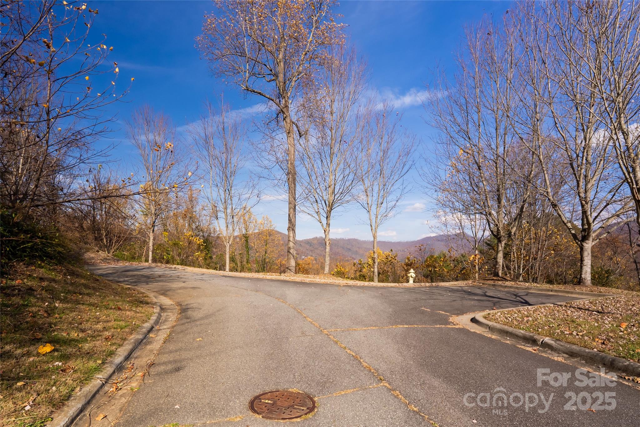 33 Grovepoint Way Asheville, NC 28804 - Photo 5 of 32