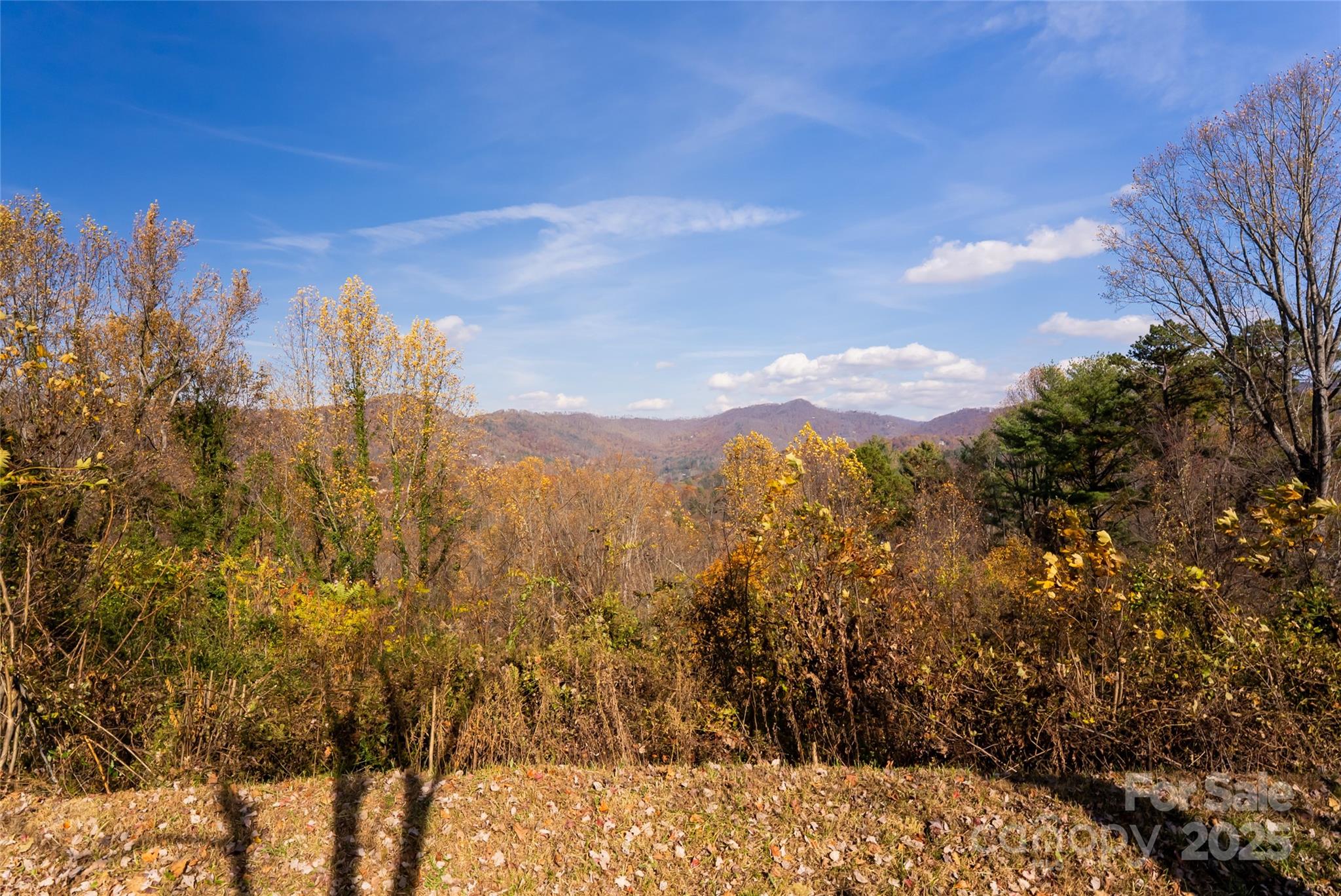 33 Grovepoint Way Asheville, NC 28804 - Photo 6 of 32