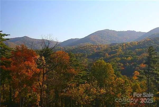 33 Grovepoint Way Asheville, NC 28804 - Photo 8 of 32 a view of a lush green field with mountains in the background