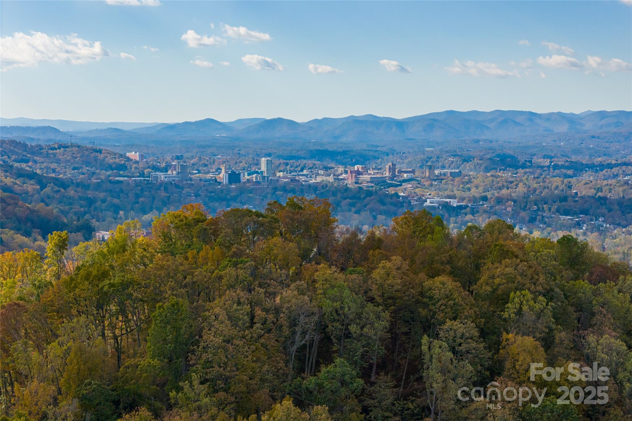 33 Grovepoint Way Asheville, NC 28804 - Photo 10 of 32 a view of lake and mountain
