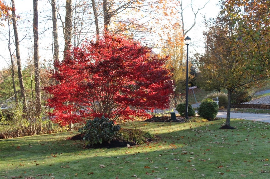 173 Morgan Road Northbridge, MA 01588 - Photo 3 of 31 Gallery Image 3