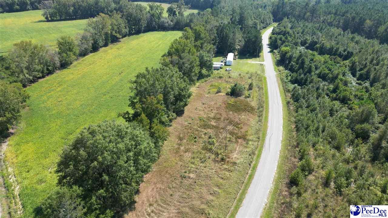 Lot A Dalcho Road Latta, SC 29565 - Photo 8 of 14 Gallery Image 8