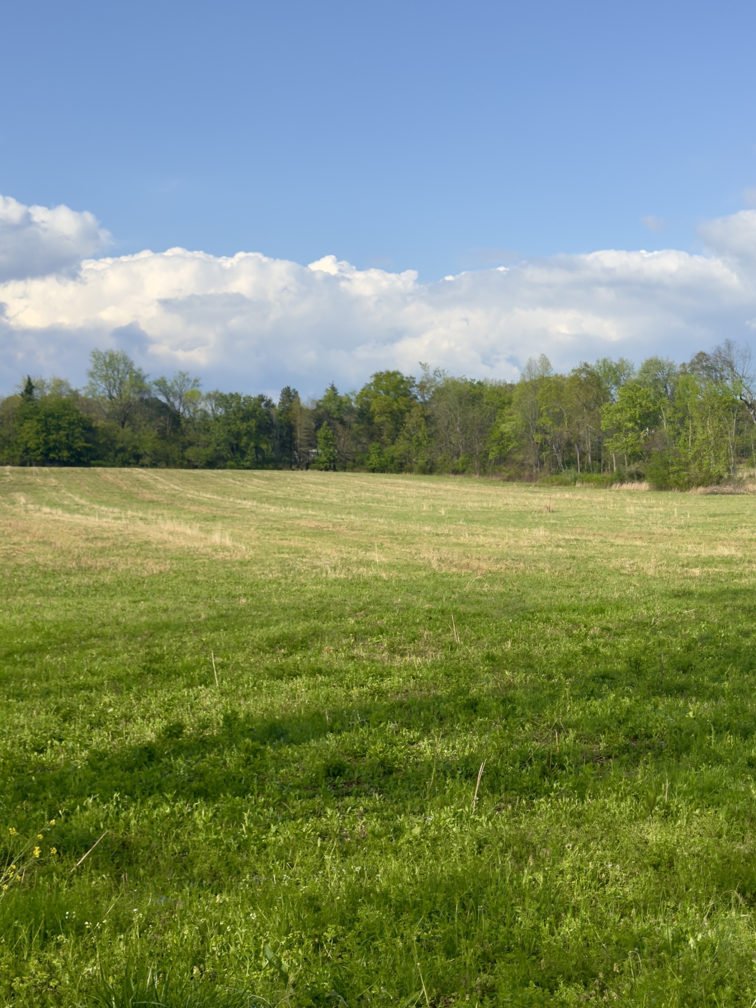 0 Aedc Lakeview Road Estill Springs, TN 37330 - Photo 4 of 5 a view of an ocean from a yard