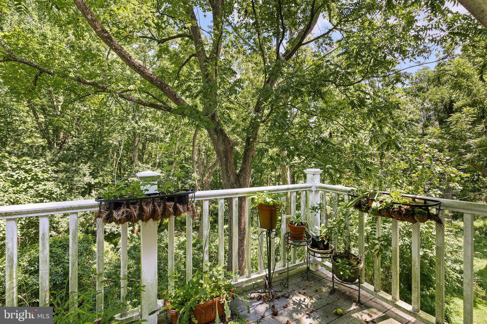 384 Blacksnake Road Elkton, MD 21921 - Photo 20 of 39 Balcony overlooks the creek