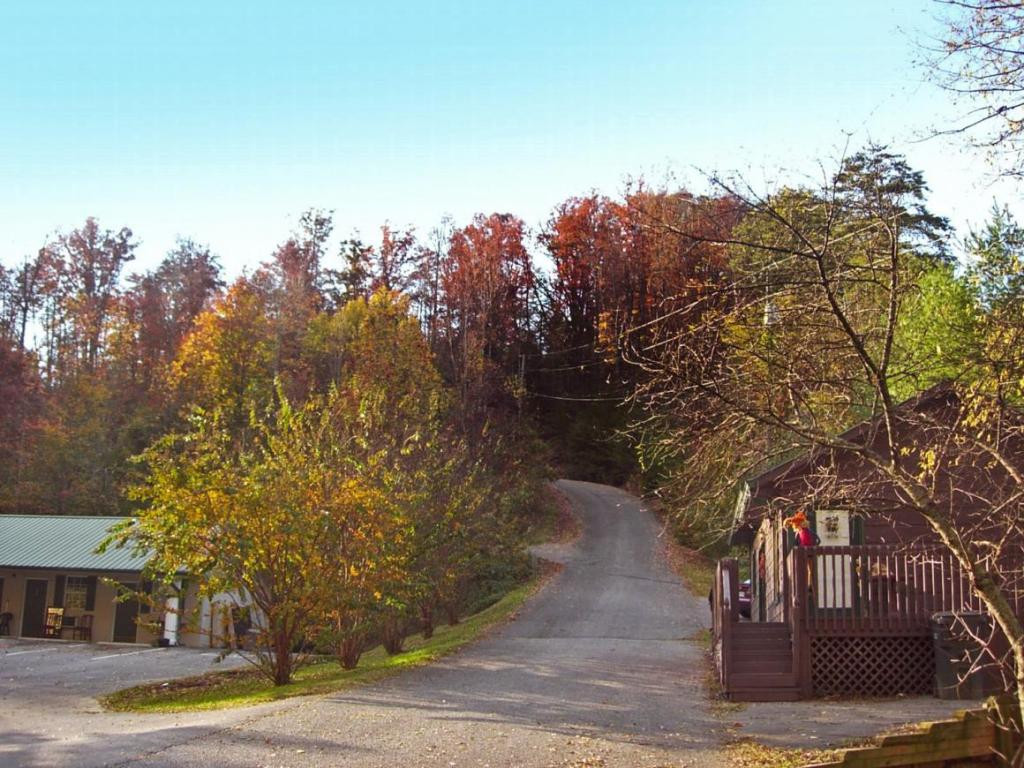 2020 Ridge Road Pigeon Forge, TN 37863 - Photo 11 of 17 Photo 11