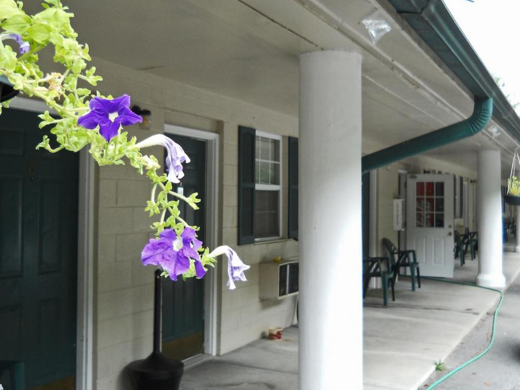 2020 Ridge Road Pigeon Forge, TN 37863 - Photo 12 of 17 Photo 12