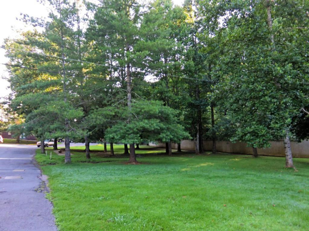 2020 Ridge Road Pigeon Forge, TN 37863 - Photo 6 of 17 Photo 6