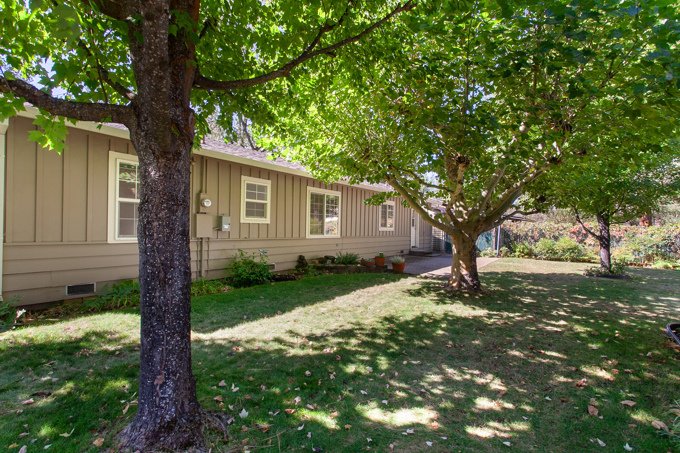 37362 Birch Avenue Burney, CA 96013 - Photo 20 of 27 a tree in the garden of a house