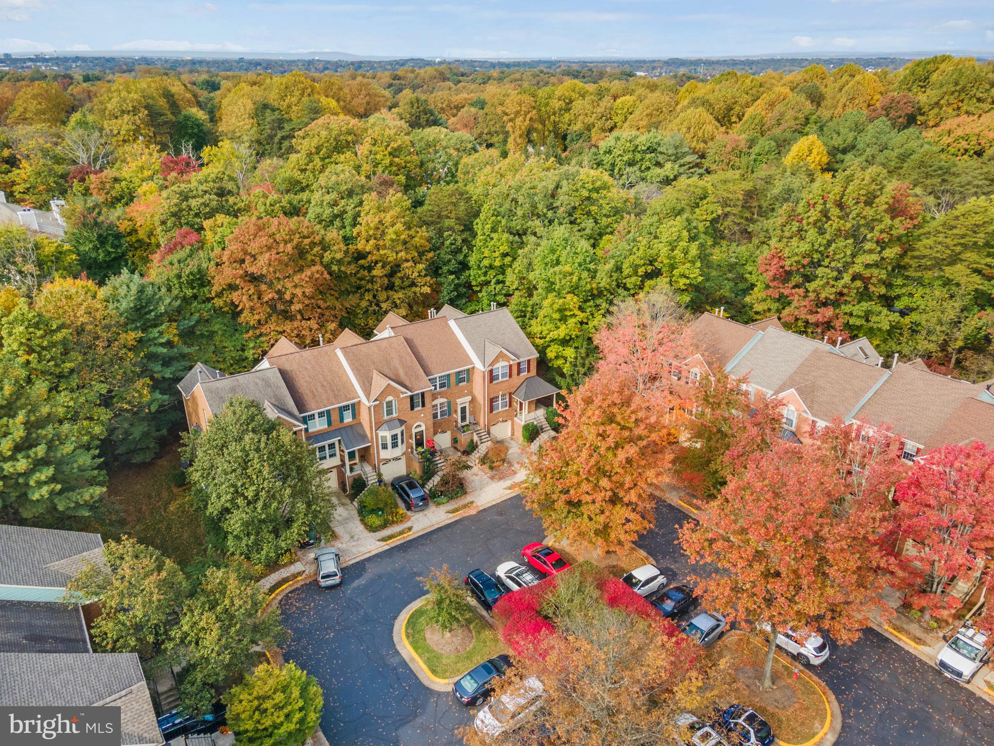 1468 Park Garden Lane Reston, VA 20194 - Photo 39 of 42 Community View