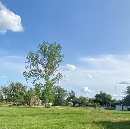a view of a golf course with trees
