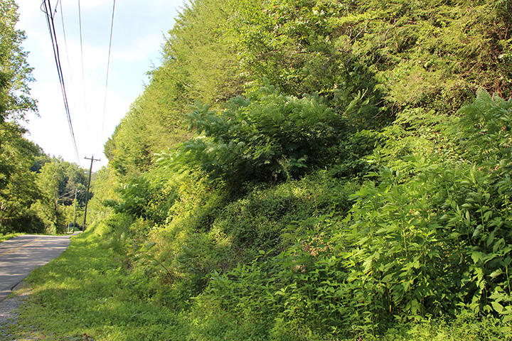 2 Boogertown Road Sevierville, TN 37876 - Photo 2 of 7 IMG_5969