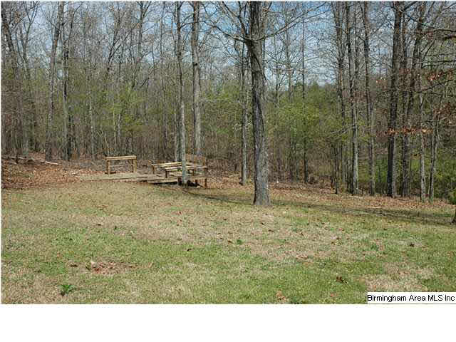 7513 Aspen Ridge Drive Pinson, AL 35126 - Photo 4 of 18