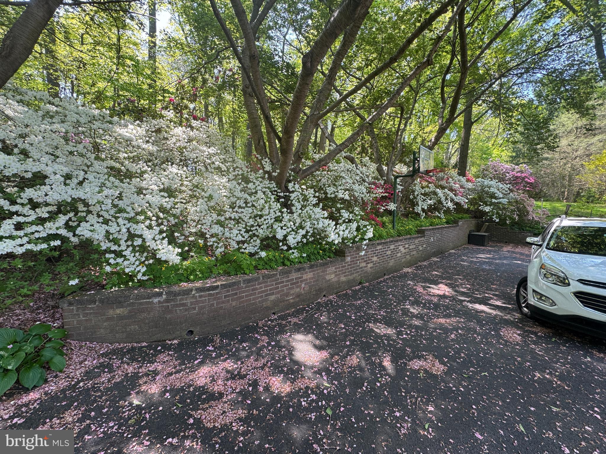 6008 Fork Woods Road Baldwin, MD 21013 - Photo 12 of 12 a view of a yard with plants and trees