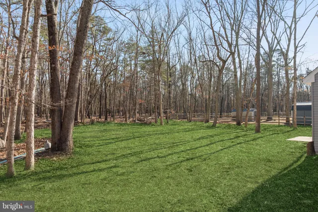 a backyard of a house with lots of green space and trees