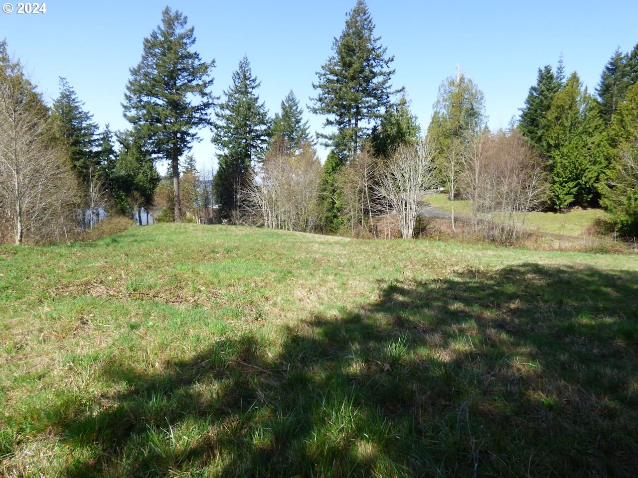 0 Riverview East- 6441 Road Cathlamet, WA 98612 - Photo 11 of 12
