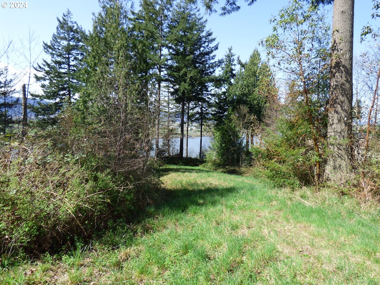 0 Riverview East- 6441 Road Cathlamet, WA 98612 - Photo 3 of 12