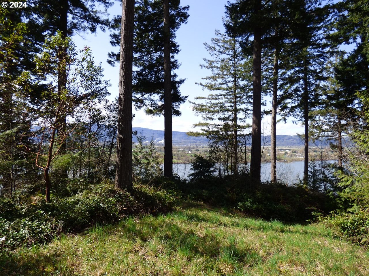 0 Riverview East- 6441 Road Cathlamet, WA 98612 - Photo 4 of 12