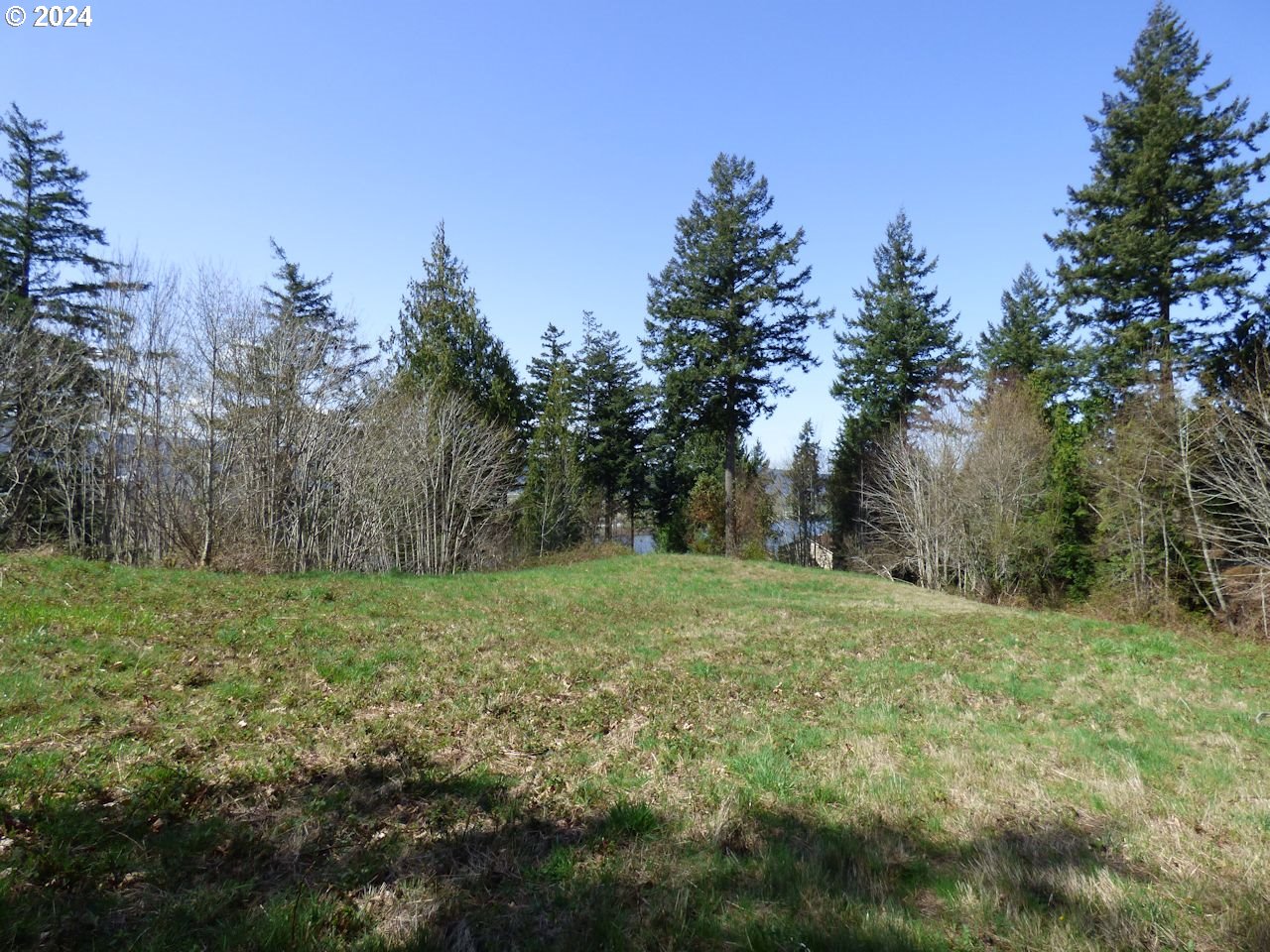 0 Riverview East- 6441 Road Cathlamet, WA 98612 - Photo 6 of 12