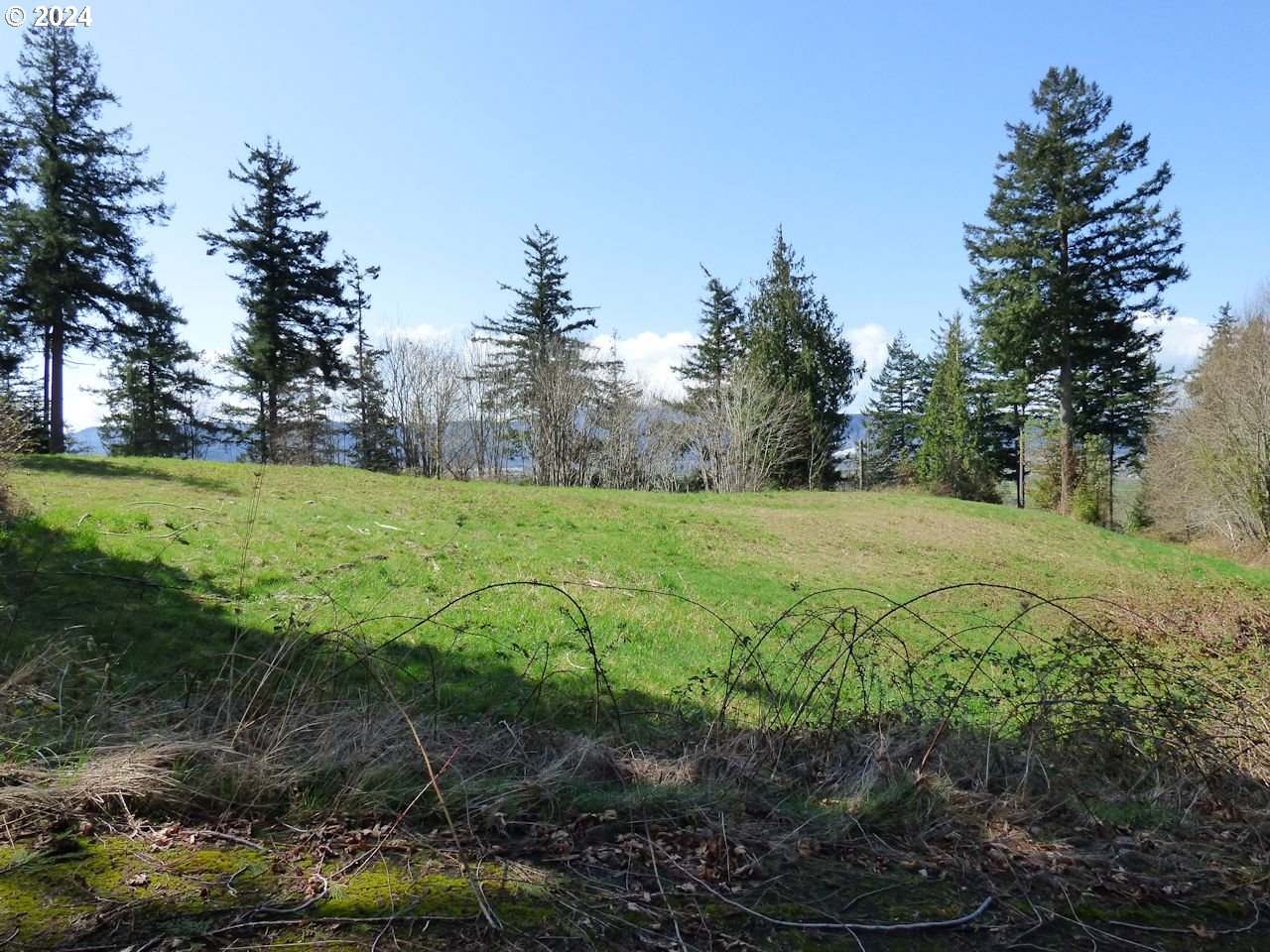0 Riverview East- 6441 Road Cathlamet, WA 98612 - Photo 7 of 12