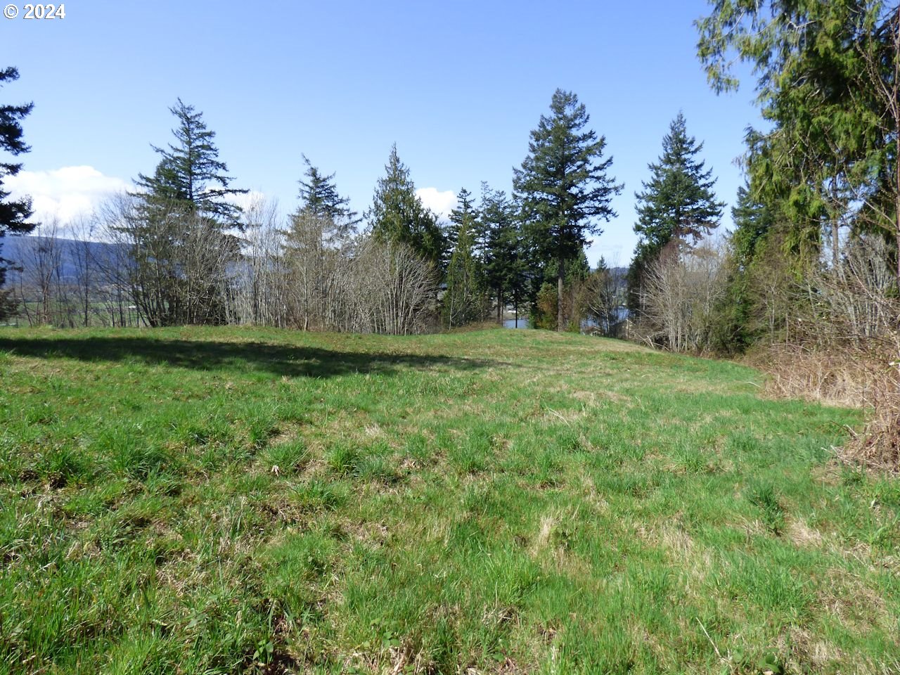0 Riverview East- 6441 Road Cathlamet, WA 98612 - Photo 9 of 12