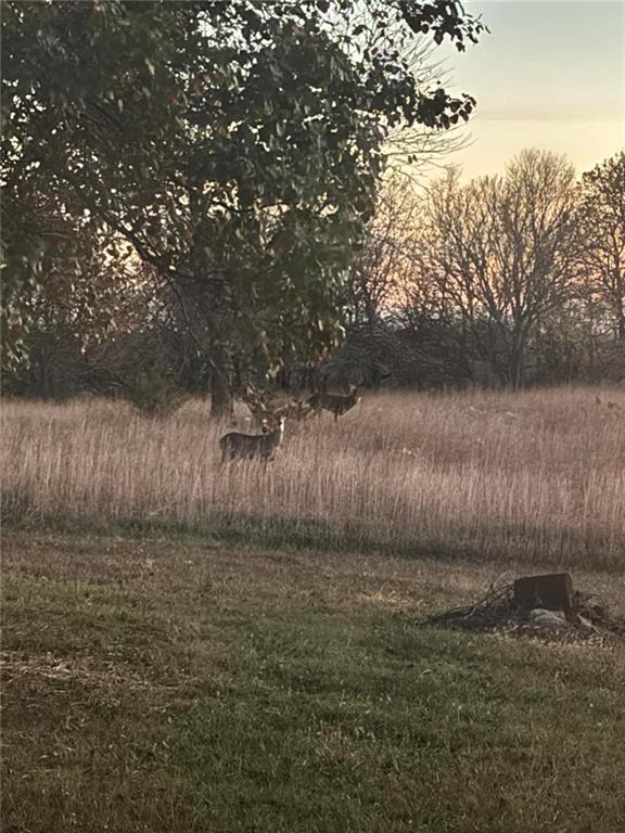 29300 Victory Road Paola, KS 66071 - Photo 19 of 98