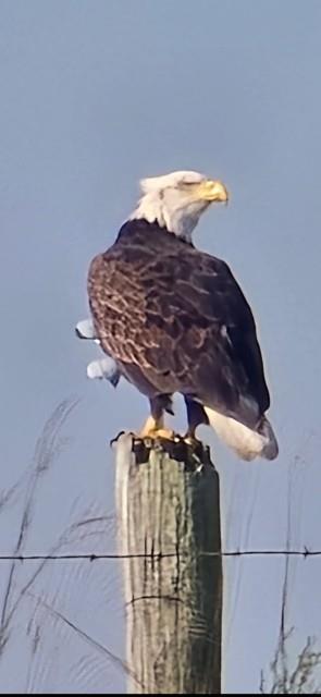 29300 Victory Road Paola, KS 66071 - Photo 55 of 98