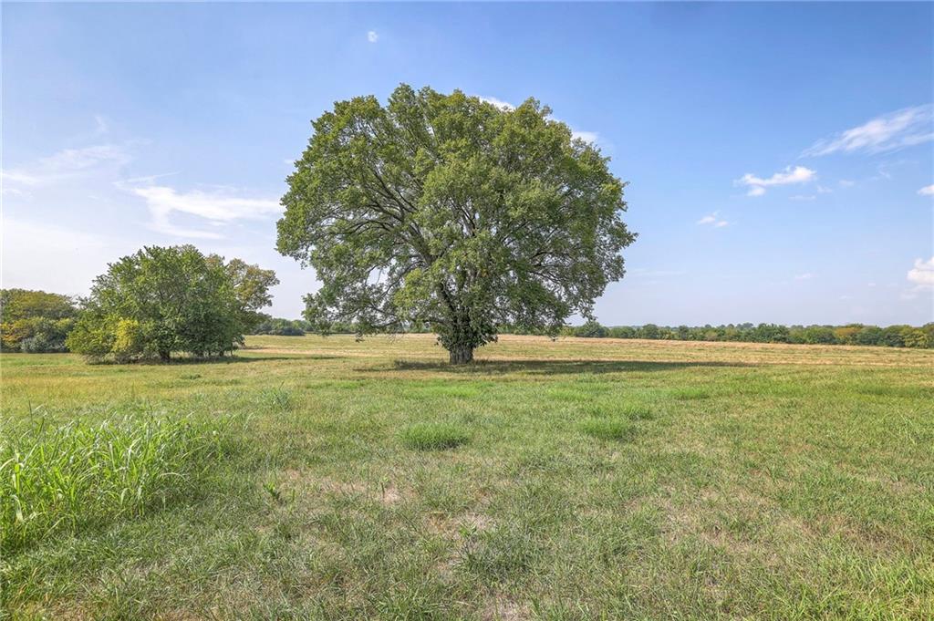 29300 Victory Road Paola, KS 66071 - Photo 62 of 98
