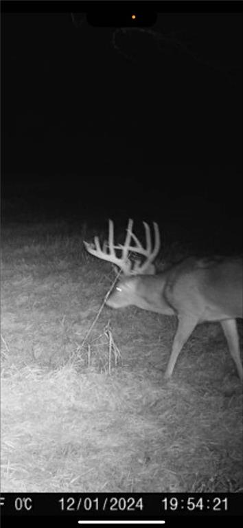 29300 Victory Road Paola, KS 66071 - Photo 64 of 98