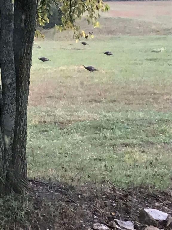 29300 Victory Road Paola, KS 66071 - Photo 67 of 98