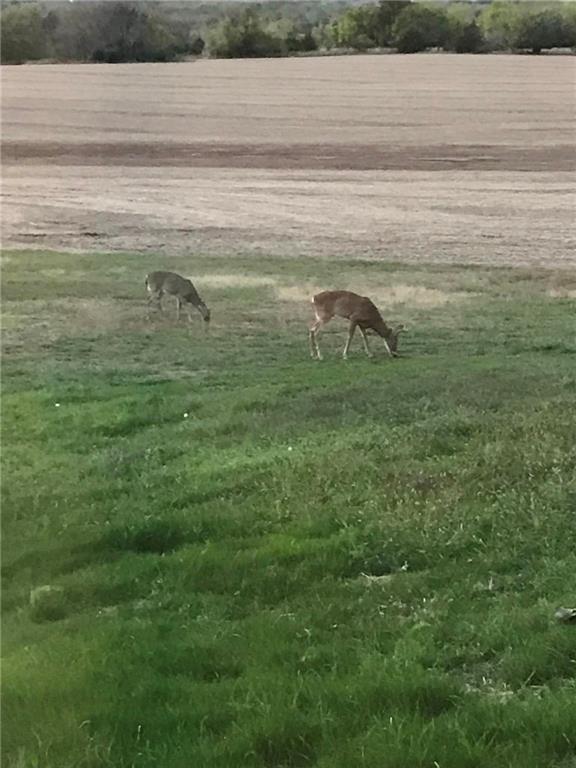 29300 Victory Road Paola, KS 66071 - Photo 74 of 98