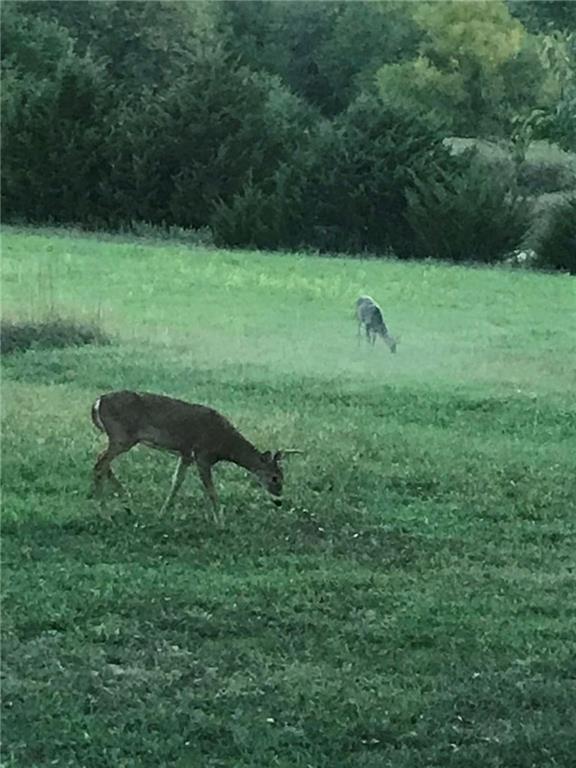 29300 Victory Road Paola, KS 66071 - Photo 76 of 98
