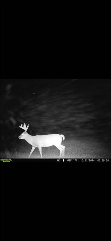 29300 Victory Road Paola, KS 66071 - Photo 89 of 98