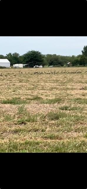 29300 Victory Road Paola, KS 66071 - Photo 90 of 98