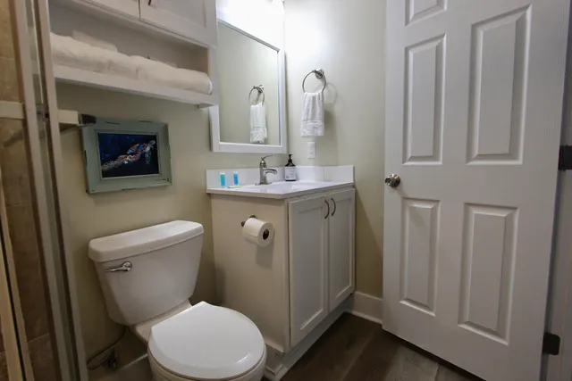 a bathroom with a toilet a sink and mirror