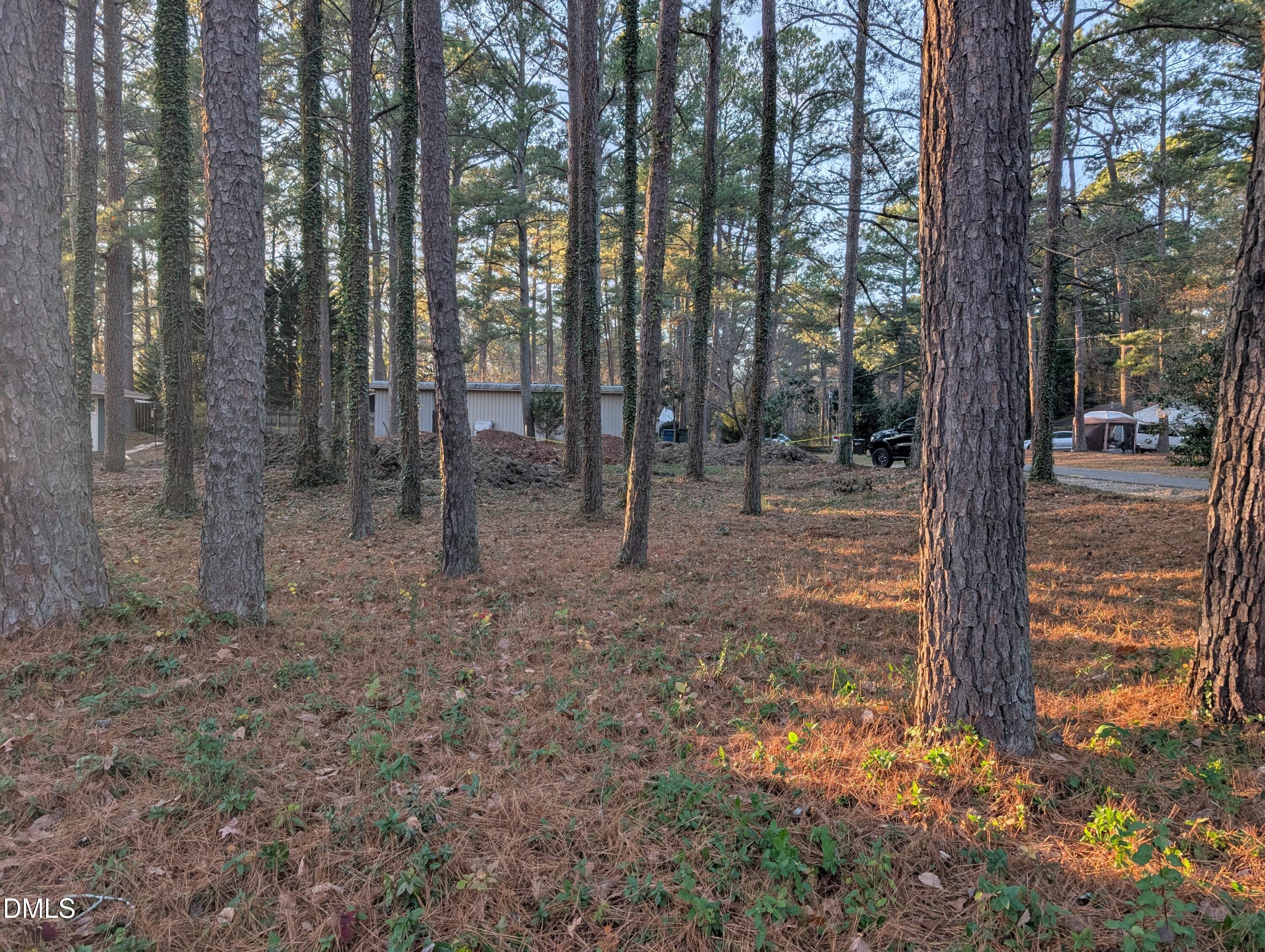 2727 Broad Street Durham, NC 27704 - Photo 2 of 9 a view of a forest filled with trees