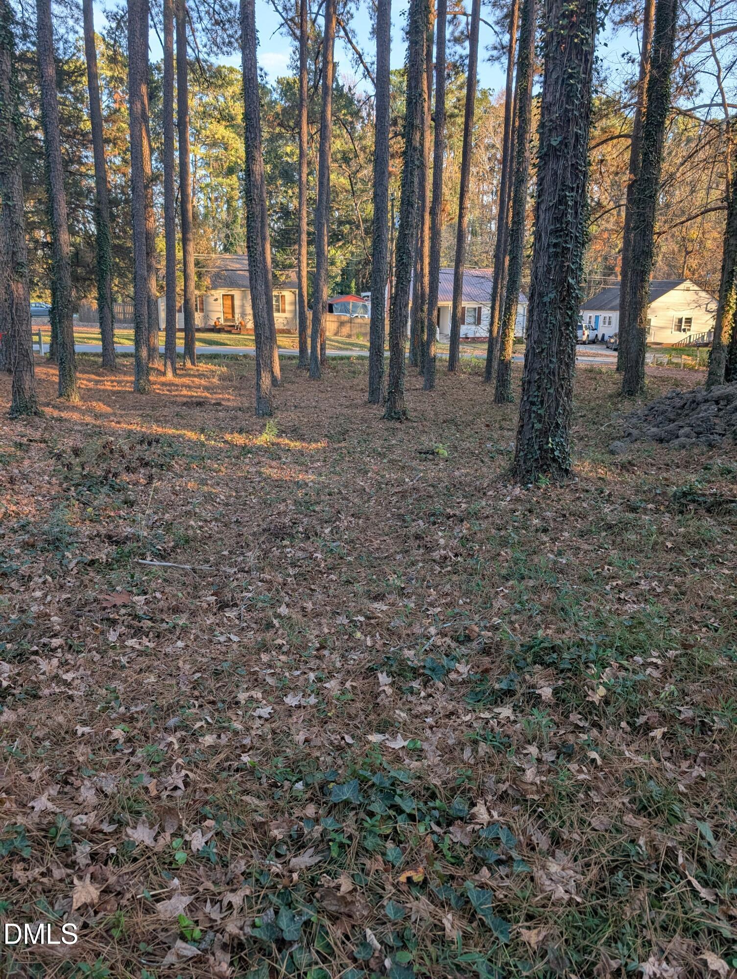 2727 Broad Street Durham, NC 27704 - Photo 4 of 9 a backyard of a house with lots of green space